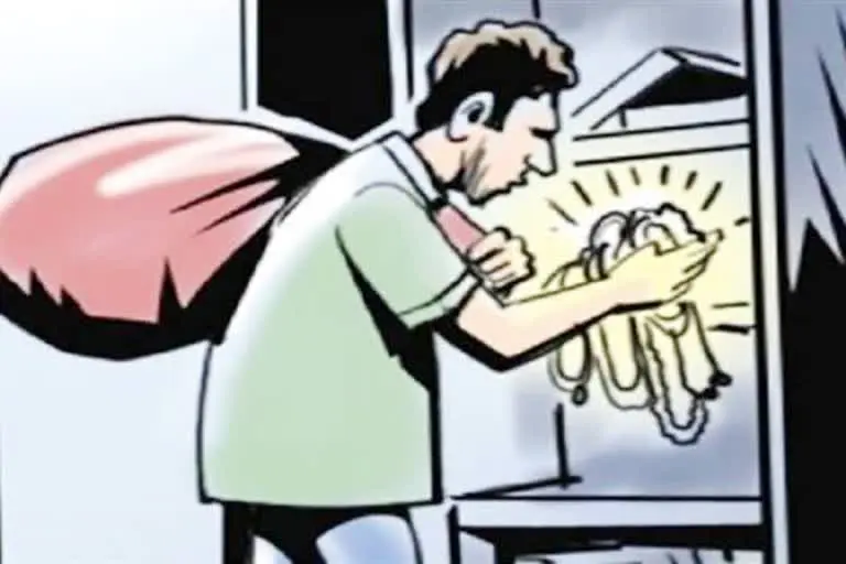 Nautan प्रखंड Siwan में चोरों का बढ़ता आतंक | गांव में Chori से बचने के लिए क्या क्या कर सकते हैं?